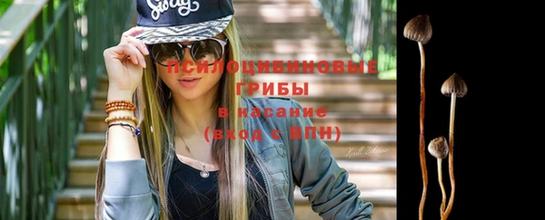 apvp Балабаново