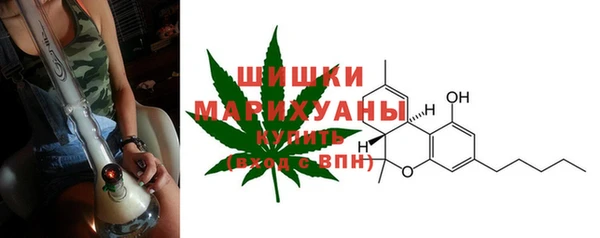 шишки Баксан