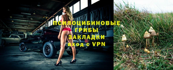 шишки Баксан