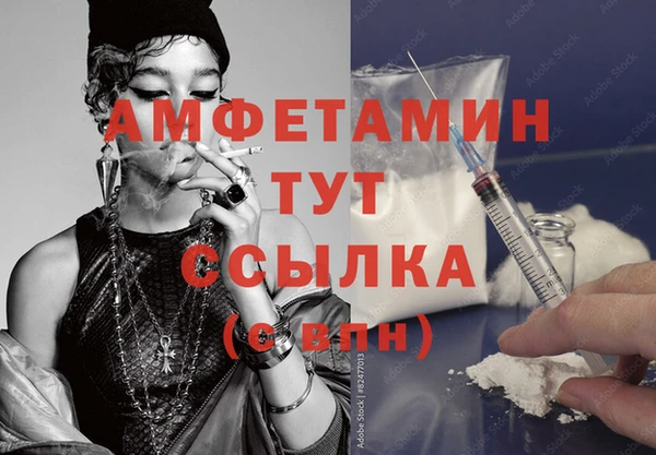 шишки Баксан